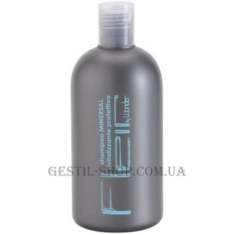 GESTIL Wonder Shampoo Minersal - Шампунь c минералами для сухих волос